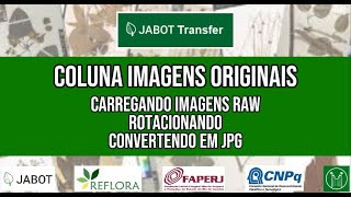 9  Coluna Imagens Originais do JABOT TRANSFER [upl. by Ainos]