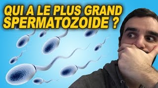 QUI A LE PLUS GRAND SPERMATOZOÏDE [upl. by Marcos]