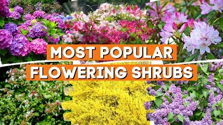 10 Most Popular Flowering Shrubs That Perfect in Any Garden 🌳🌲💚 [upl. by Yngad]