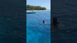 Diving in Maldives 🌊🏝️ 4 diving maldives island islandlife travel vacation honeymoon [upl. by Yenahpets]