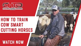 How To Train Cow Smart Cutting Horses [upl. by Mercer567]