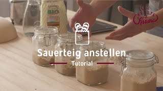 Sauerteig anstellen  Tutorial  KrusteampKrume [upl. by Ardnoek335]