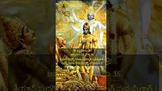 Bhagavad Geetha Shloka  17 Bhagavad Gita [upl. by Mountfort]