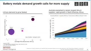 Review of lithium cobalt and nickel markets [upl. by Melborn]