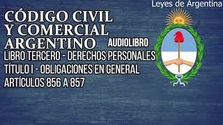 Artículos 856 a 857  Código Civil y Comercial Argentino Audiolibro [upl. by Sivartal]