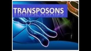 Transposons  Microbial Genetics  2024 [upl. by Odnam]