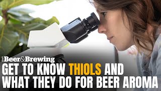 Get to Know Thiols and What They Do for Aroma [upl. by Polloch]