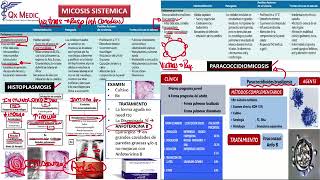 4 RM19 1V D A 5 TARDE INFECTOLOG A MICOSIS SISTEMICA Y OPORTUNISTA [upl. by Garett612]