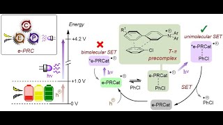 Hole Mediated Photoredox Catalysis [upl. by Lapham]