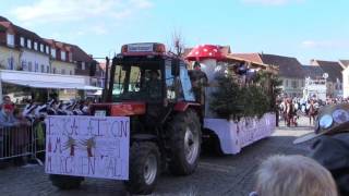 Wittichenau  Rosenmontagsumzug 2017 [upl. by Chitkara981]