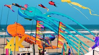 Washington Kite Festival in WA  4K Ultra HD Relaxation Video with Waves Sounds [upl. by Enobe982]