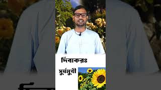 flowers name in sanskrit  সংস্কৃতে ফুলের নাম। sanskritgrammar sanskritlanguage [upl. by Eissirc]