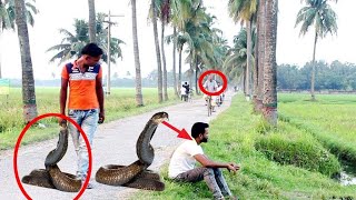 Giant Fake Snake Prank  Most Funny Reaction  LahoriFied Pranks starfun02 [upl. by Arataj]