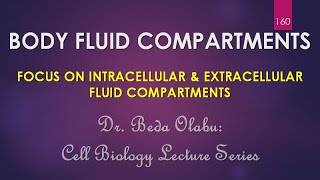 OVERVIEW OF THE BODY FLUID COMPARTMENTS [upl. by Renfred]