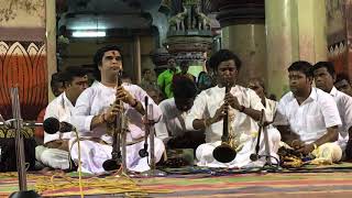 Ragam Bindumalini  Nagaswaram Thiruppampuram Brothers [upl. by Ivie862]