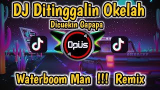 DJ DITINGGALIN OKELAH DI CUEKIN GAPAPA X WATERBOOM MAN REMIX TERBARU 2022 [upl. by Barry]