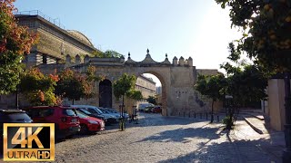 WALK BODEGAS IGLESIA DE SANTIAGO IGLESIA DE SAN MATEO  JEREZ DE LA FRONTERA ESPAÑA🇪🇸 COV19 [upl. by Alusru]