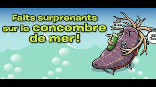 Infos insolites sur le concombre de mer [upl. by Adimra]