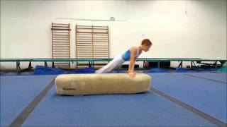 Age Group Programme  Mens Artistic Technical Ability Testing  Pommel Horse  Exercise 24 [upl. by Anuala]