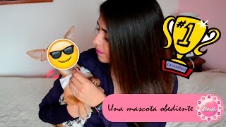 TIPS PARA TENER UNA MASCOTA MAS OBEDIENTE ♡ ♡ ♡ [upl. by Wanids]