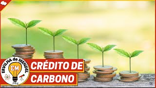 Crédito de carbono  O que é crédito de carbono   Como funciona o crédito de carbono [upl. by Elleinad]