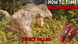 Ark Survival Ascended  How To Tame Megatherium  Easiest broodmother method [upl. by Eilarol]