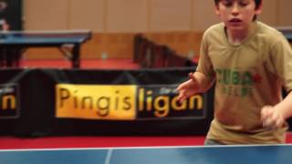 Our Junior Elites practicing their serves in Eslöv  Brighton table tennis club [upl. by Nnalyrehs]