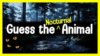 Guess the Animal Sound Game  12 Nocturnal Animal Sounds Quiz [upl. by Veats963]