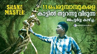 Wow  Vava Suresh releases 11 pythons into the wild  Snakemaster  Latest episode [upl. by Nabi]