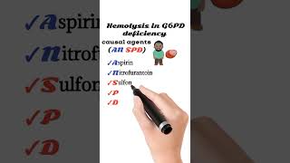 Hemolysis in G6PD deficiency [upl. by Sturdivant262]