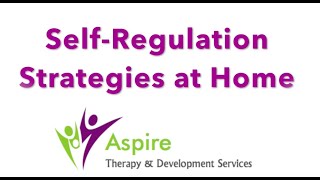 Self Regulation Strategies at Home [upl. by Homere]