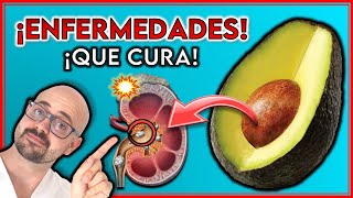 9 ENFERMEDADES que se CURAN con la SEMILLA DE AGUACATE  ¡ASÍ debes CONSUMIRLA [upl. by Rik]