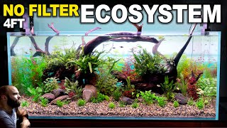 4ft Ecosystem Tank HUGE No Filter Aquarium With No Maintenance Aquascape Tutorial [upl. by Alyhs732]