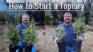 How to Start a Topiary🌲 [upl. by Ilyah]