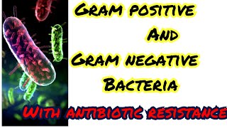 gram positive and gram negative bacteria note acinatobector is not normal skin flora its my mistake [upl. by Octave]