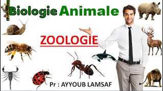 zoologie biologie animale [upl. by Theodor632]