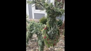 How To Make a Deer Fresh Greens Topiary [upl. by Memory]