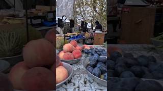 Discover the Best Local Produce in Lyon France france lyon europe farmersmarket [upl. by Asiar]