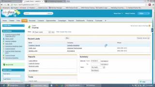 Optimizing Campaigns and Lead Management in Salesforce [upl. by Porcia813]