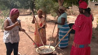 Sénégal  en Casamance lespoir dune nouvelle ère [upl. by Nereids342]