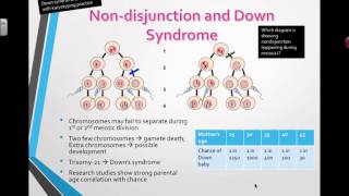 Nondisjunction and Down Syndrome 2016 IB Biology [upl. by Nywloc]