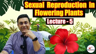 Sexual Reproduction in Flowering Plants l Lecture 5 l Biology l NEET [upl. by Nylannej]