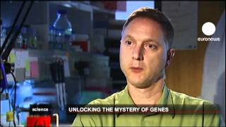 euronews science  Epigenetics [upl. by Aneehsar387]