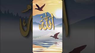 Allah gojollike comment subscribe [upl. by Yrrac]