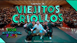 PERROS CRIOLLOS  VIEJITOS CRIOLLOS CAP 38 [upl. by Ydolem]