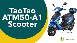 TaoTao ATM50A1 Scooter Review and Details [upl. by Mallon924]