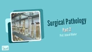 Surgical Pathology part 2 Surgery  Prof Ashraf Khater [upl. by Acimaj]