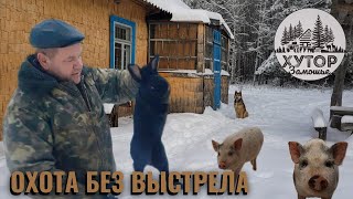 ПОЧТИ НЕДЕЛЮ ЖИВУ НА ХУТОРЕ ОХОТА БЕЗ ВЫСТРЕЛА ХОЗЯЙСТВО БУДЕМ РАСШИРЯТЬ [upl. by Octavia]