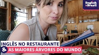 INGLÊS NO RESTAURANTE E AS MAIORES ÁRVORES DO MUNDO  English Vlog 2 [upl. by Sinnaiy]