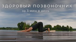 Лучшие упражнения для спины Здоровый позвоночник [upl. by Nylitak501]